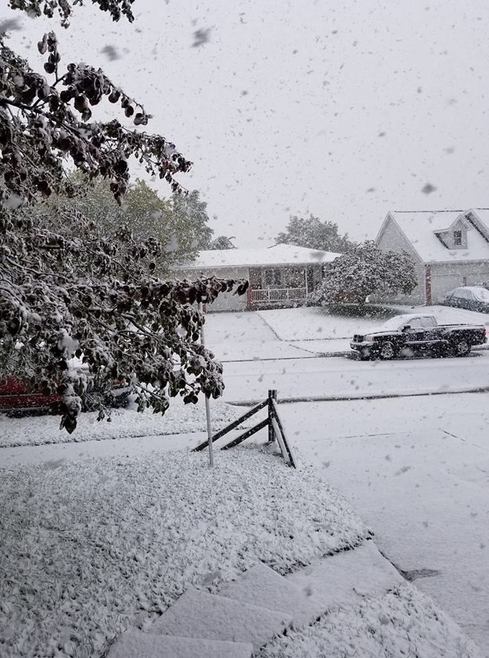 Snow, 10/14